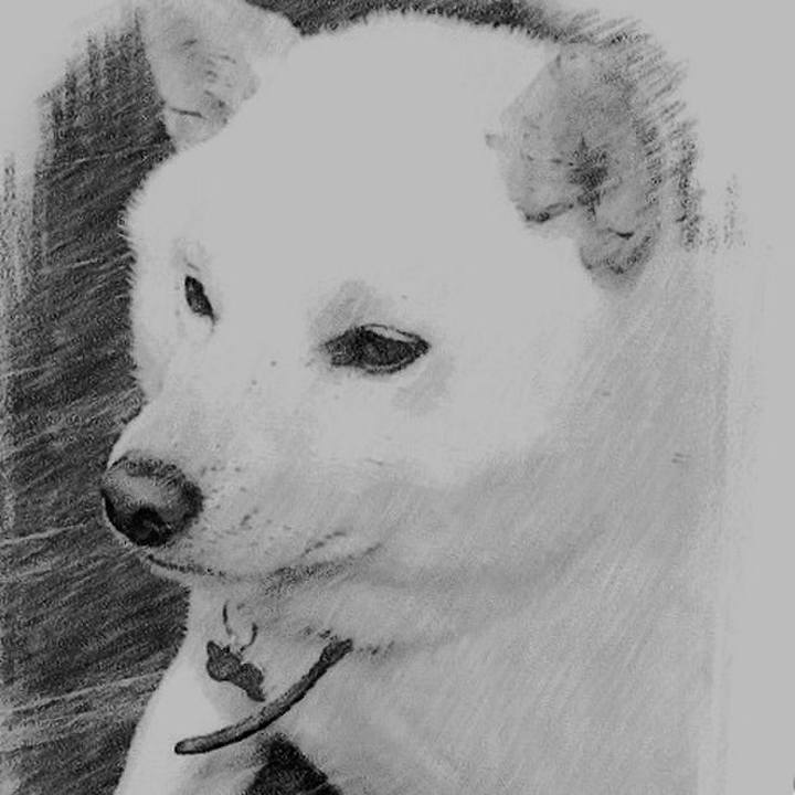 D6bd10b5 f00b 4115 b936 f559878b8f42