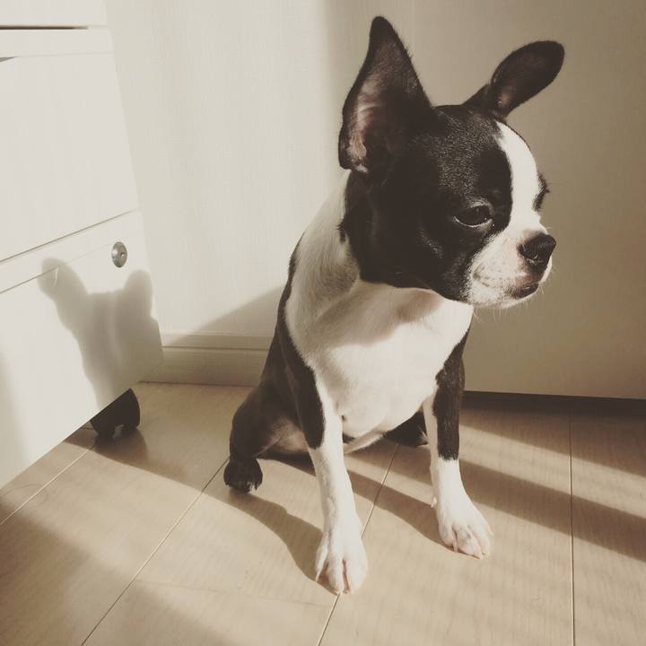 D6bdd341 9ac1 49ed 8fee 28e885ced293