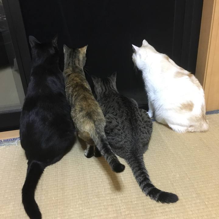 D6bde3c1 2ea7 4f04 ab67 34e633c8edee