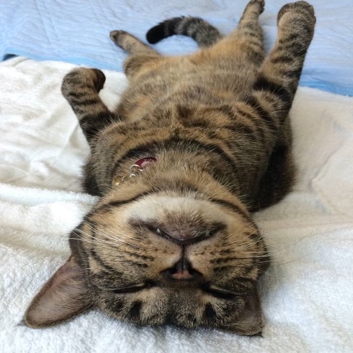 D6bf72a0 6ebd 4522 82e6 918ea73f9740