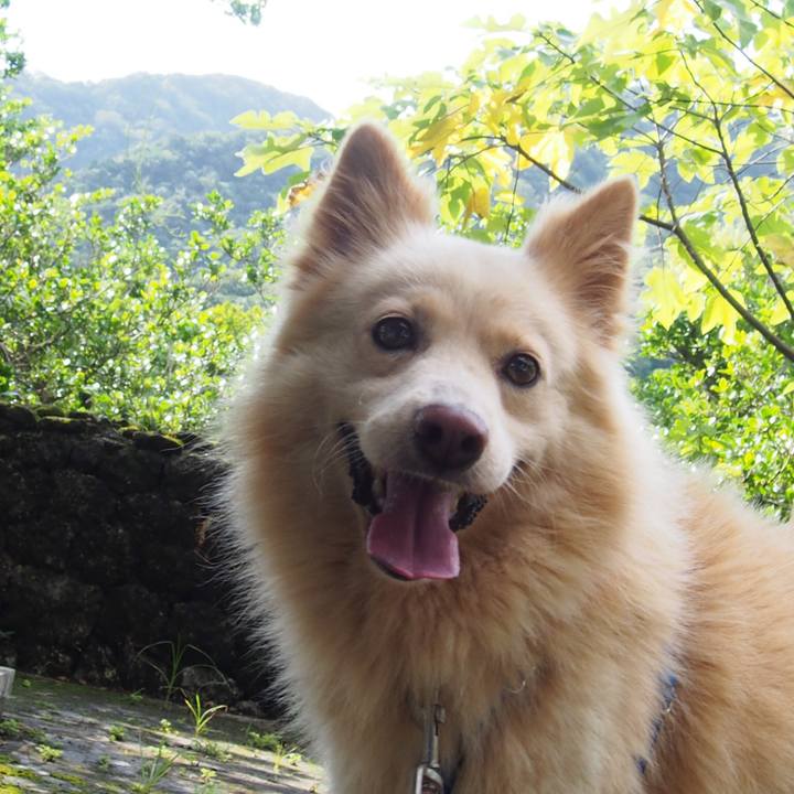 D6c0d712 b6fc 4020 80ea 337ba0ca00c1