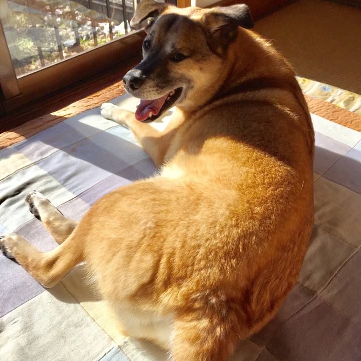 D6c13d19 4900 4120 88c8 e35f50143e1e