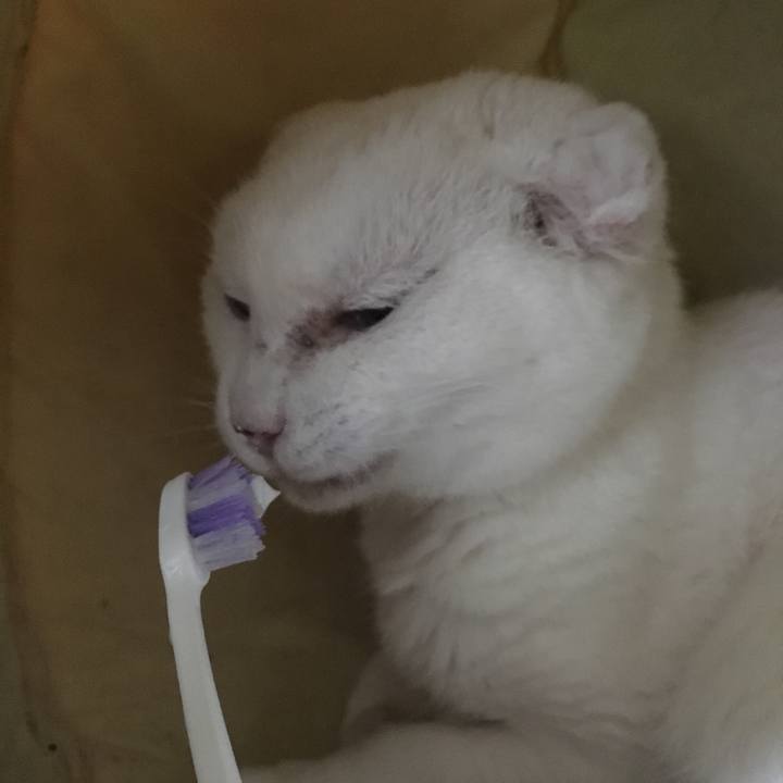 D6c20ceb 8230 49a1 a2ec 390a4e4a63ae