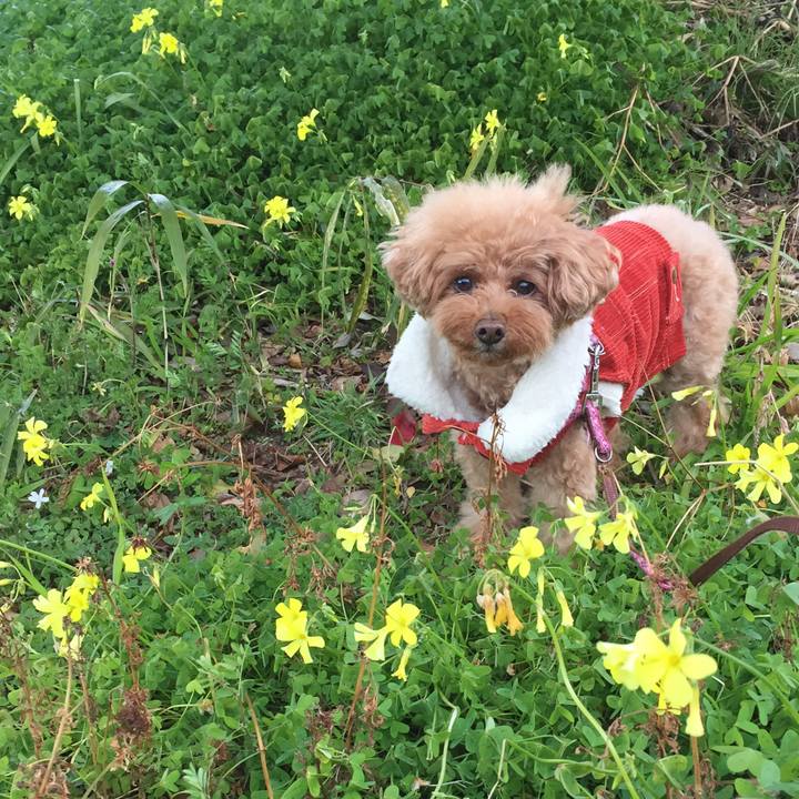 D6c21d69 d712 4b8d 8ce6 5b385d024e6e