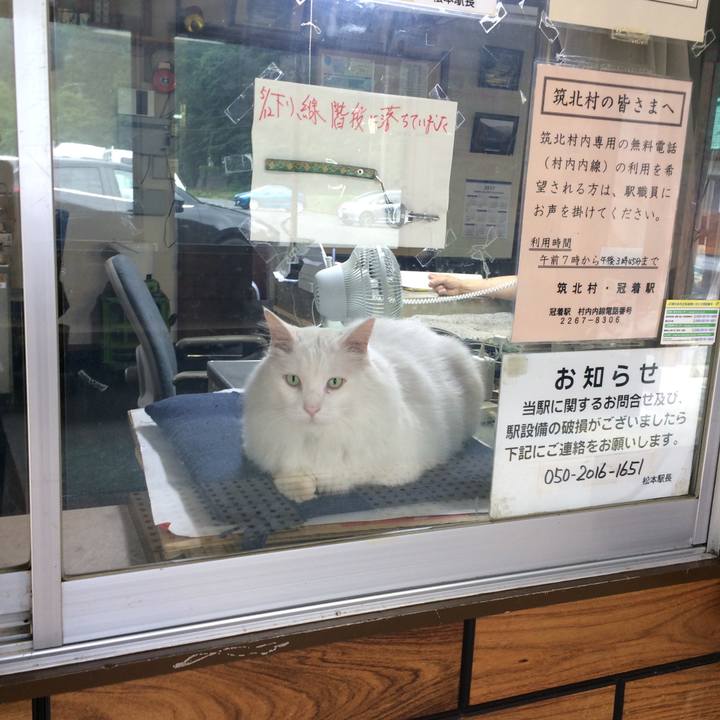 D6c21eb1 bf16 4dd8 a649 1aba6b323f2f