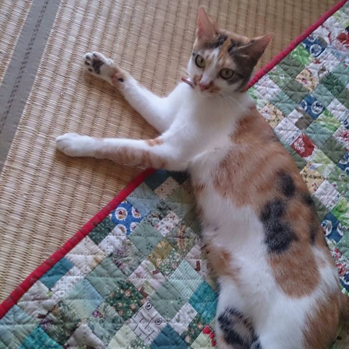 D6c23dfa e33a 4a46 b3a2 60ce8fccfd06