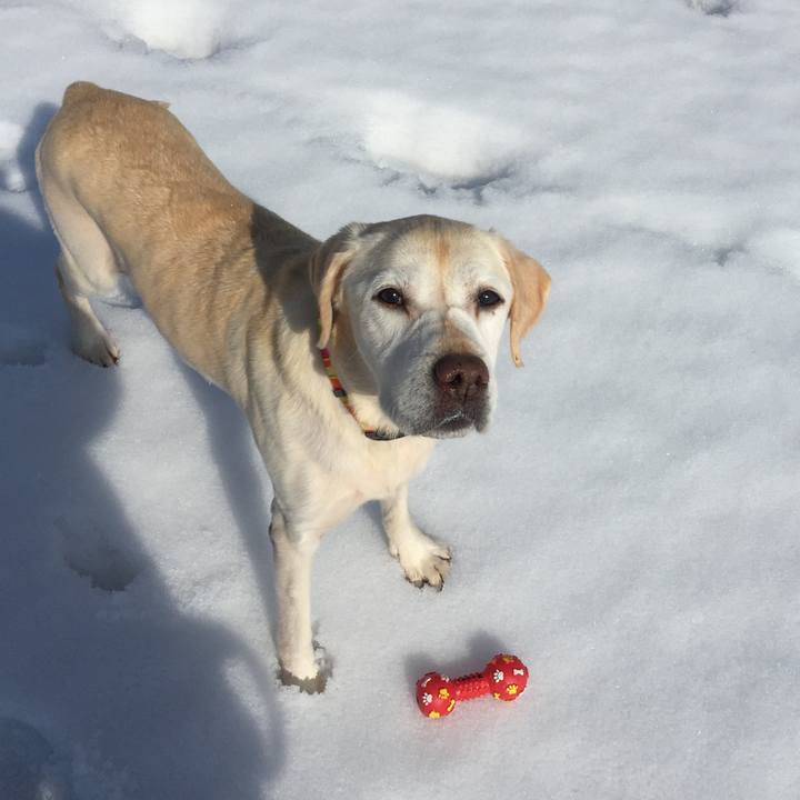 D6c2afcb 2f9c 46c2 bc18 37340e983e45