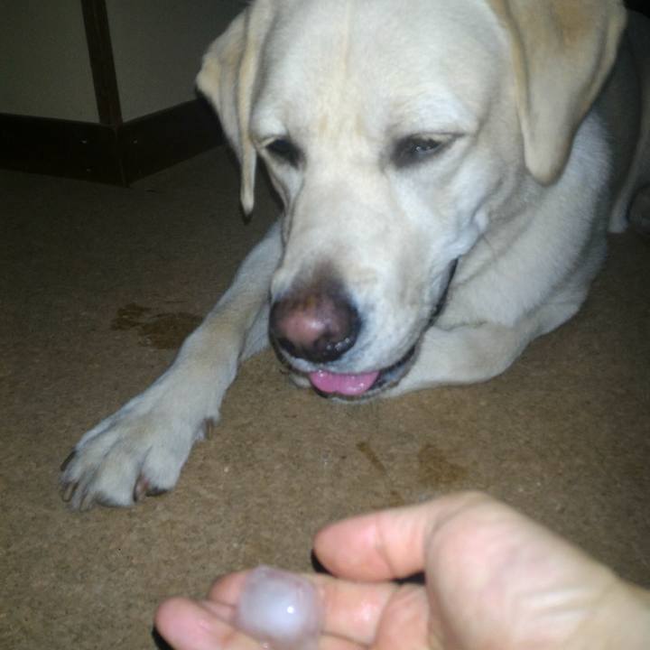 D6c37f10 4c39 4c1f ba4b e5fe8b053fad