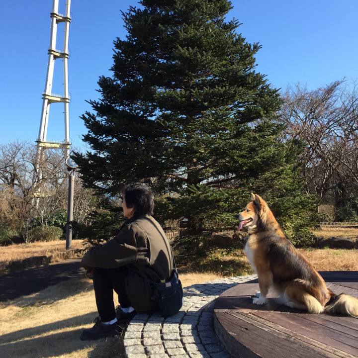 D6c38718 28bb 44b7 b991 d2d1fb1b49c8