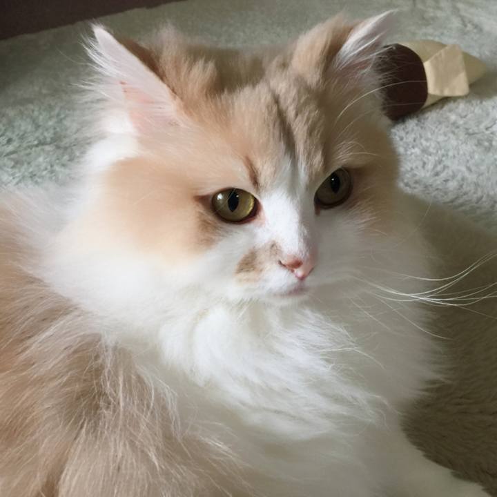 D6c390e2 39d8 444a 9e22 14760c50220c