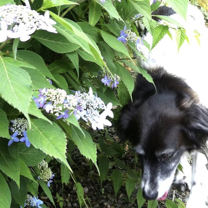 D6c41ad0 8fa5 405c 8fa4 48f108215da7