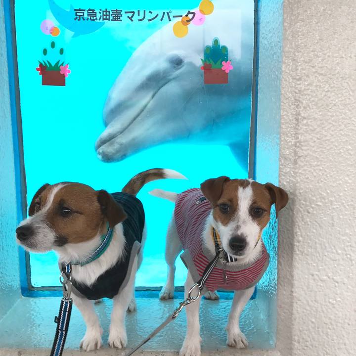 D6c437fb 7003 4a0c 9be2 d276991be54f