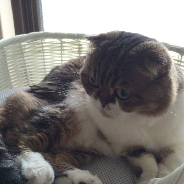 D6c455f0 a3ed 4772 a7d4 3f4c63af90bb