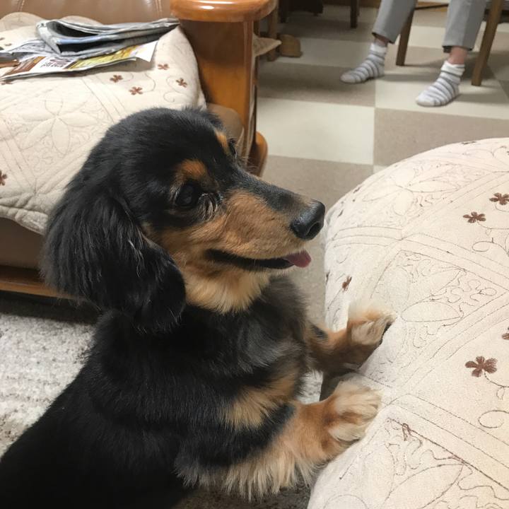 D6c45bca 1567 4c89 9260 1df7068c2d2c