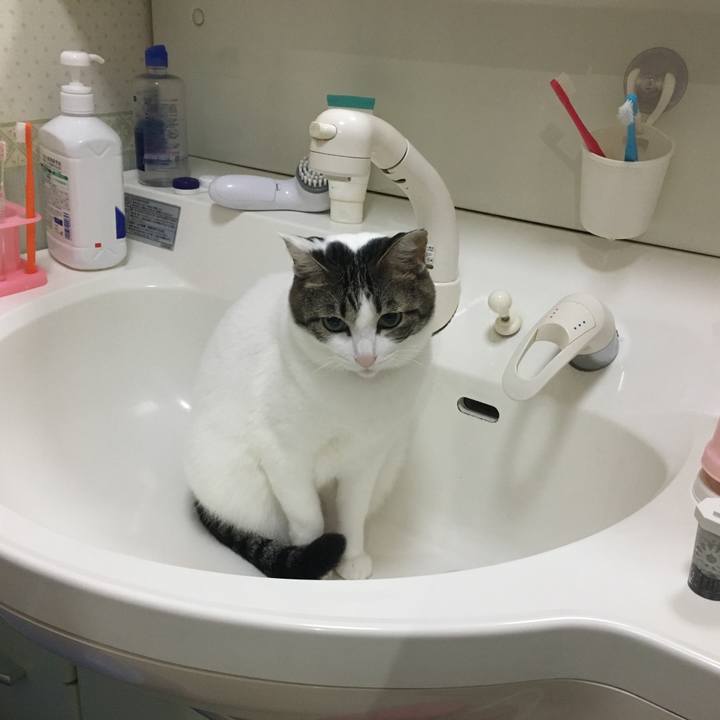 D6c47d7d 909b 4f58 9513 2b94bc5d5eb0