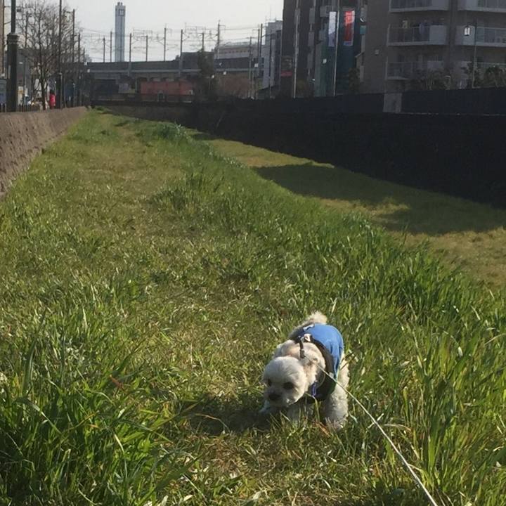 D6c4a5c4 06b4 436e 8c23 5977804bfda3