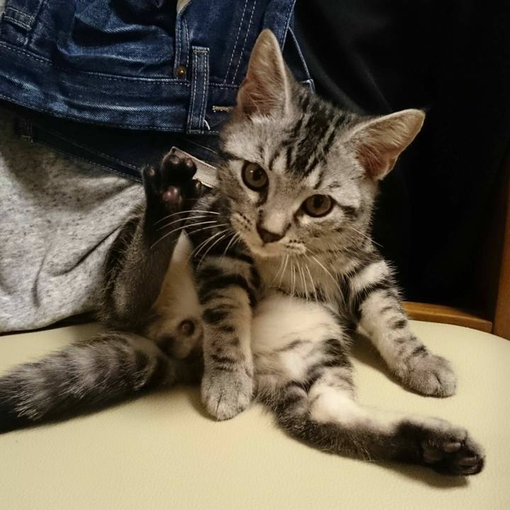 D6c5015e 06fd 46bc aa7c 47c43b52e1ff