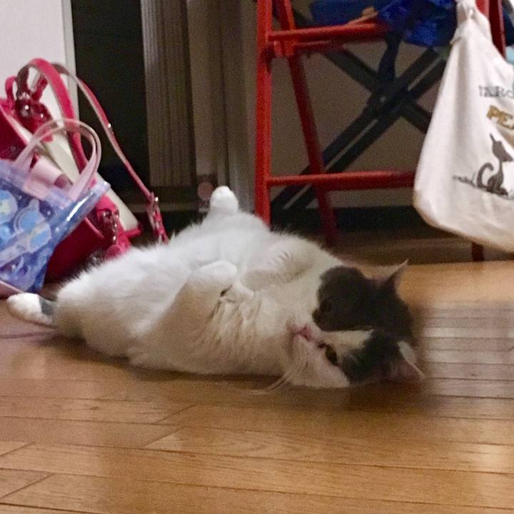 D6c51f9b 20f7 491e 8f85 590d5b4b793e