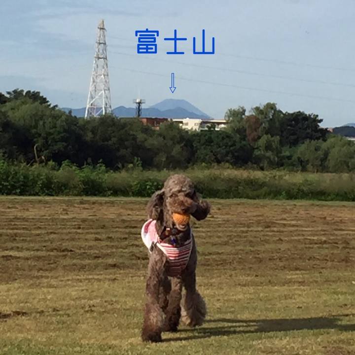 D6c54082 8d2c 4d57 ab05 3eed2d621cde