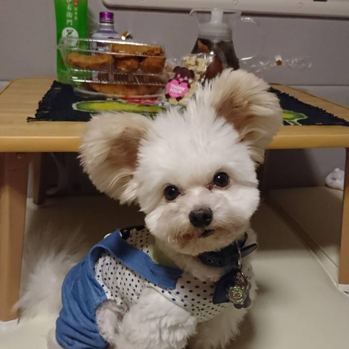 D6c592ad e8a2 4385 b41e 5fae5404dd85