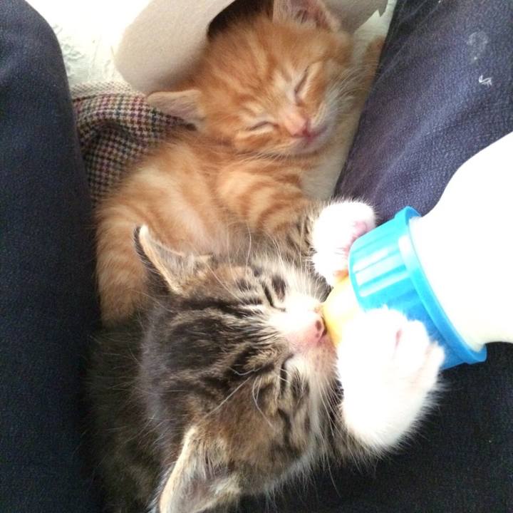 D6c5a09d a473 4cc4 aba1 c873d099139d