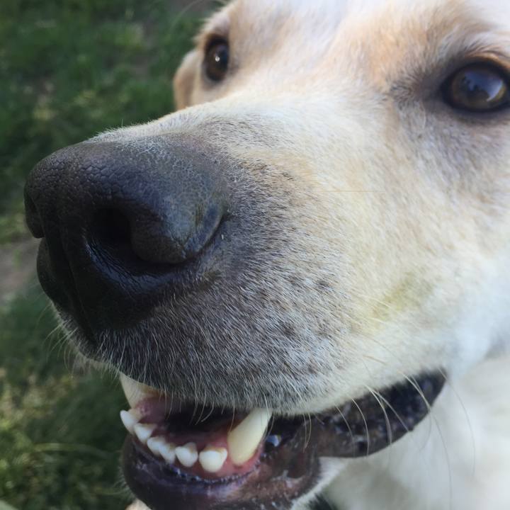 D6c5a71b 9f3d 4d3e bb8f 3deb1700f98b