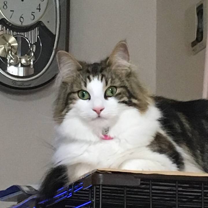 D6c5b497 9f13 4de6 83d9 0ba0215f0819