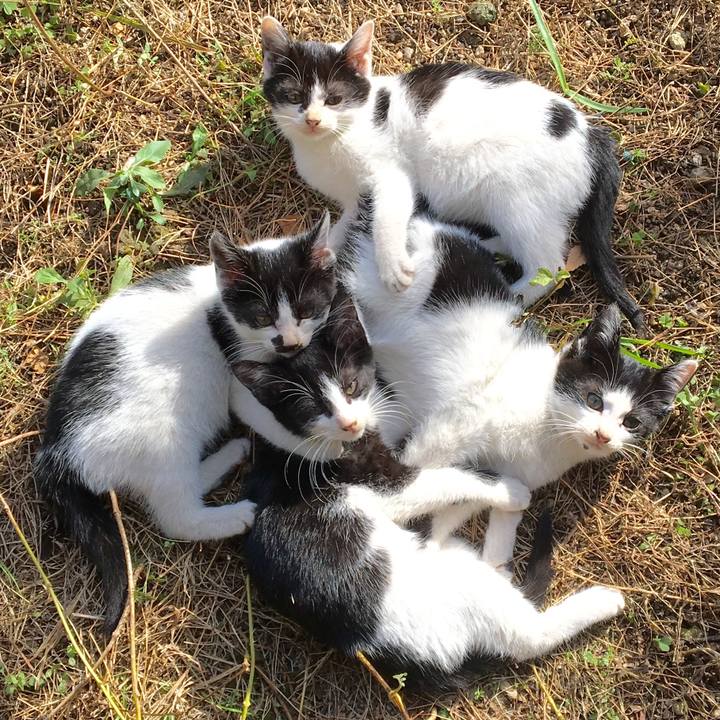 D6c5f0ab a653 404b 9701 2c459351c543