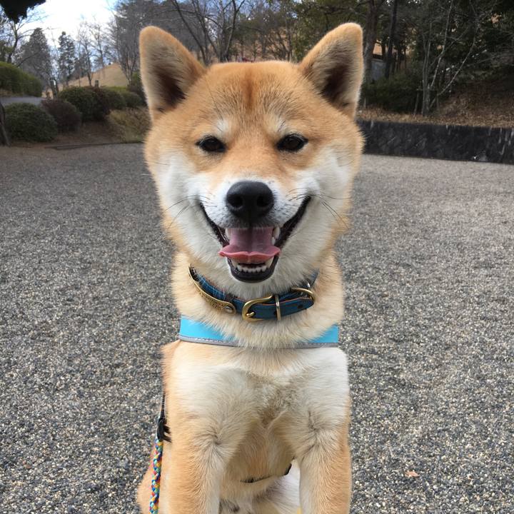 D6c61b10 800b 4845 9002 d67fb37818e4