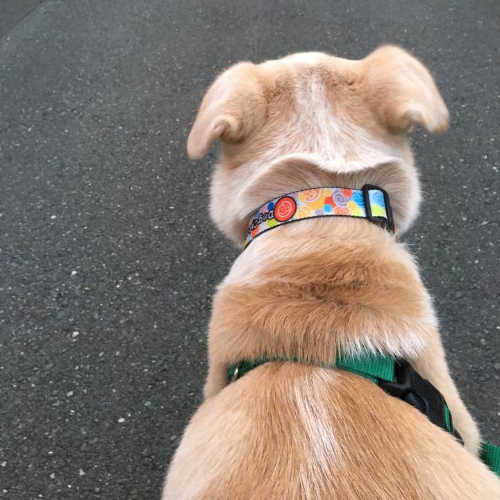 D6c76d10 deff 44fa b928 28b1886a9281