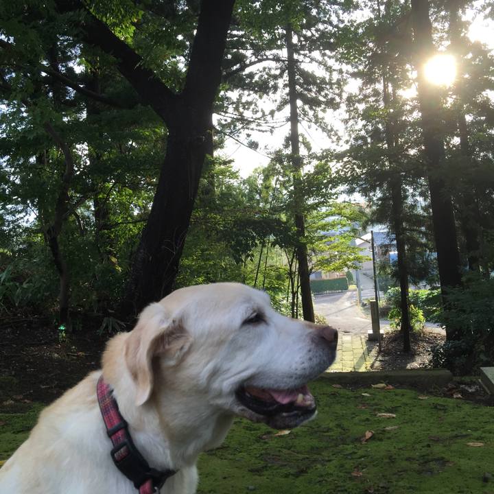 D6c7afae 68de 4406 93ab dd1f8ce20855