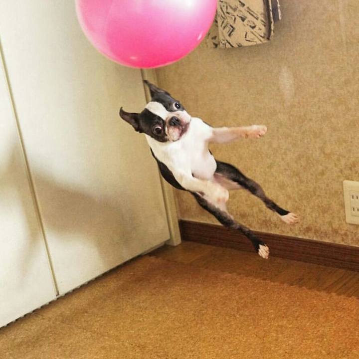 D6c7c170 b721 49b4 ba3a 5c7a666afc07