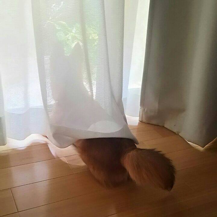 D6c7de95 e749 49d7 8404 61e08400b2d9