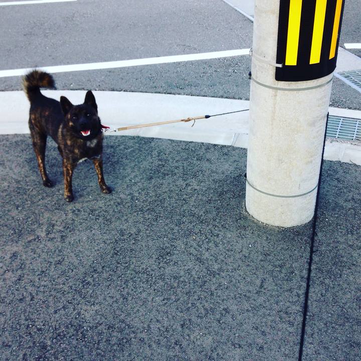 D6c84190 f9fc 49bc 85a5 0971dc43a910