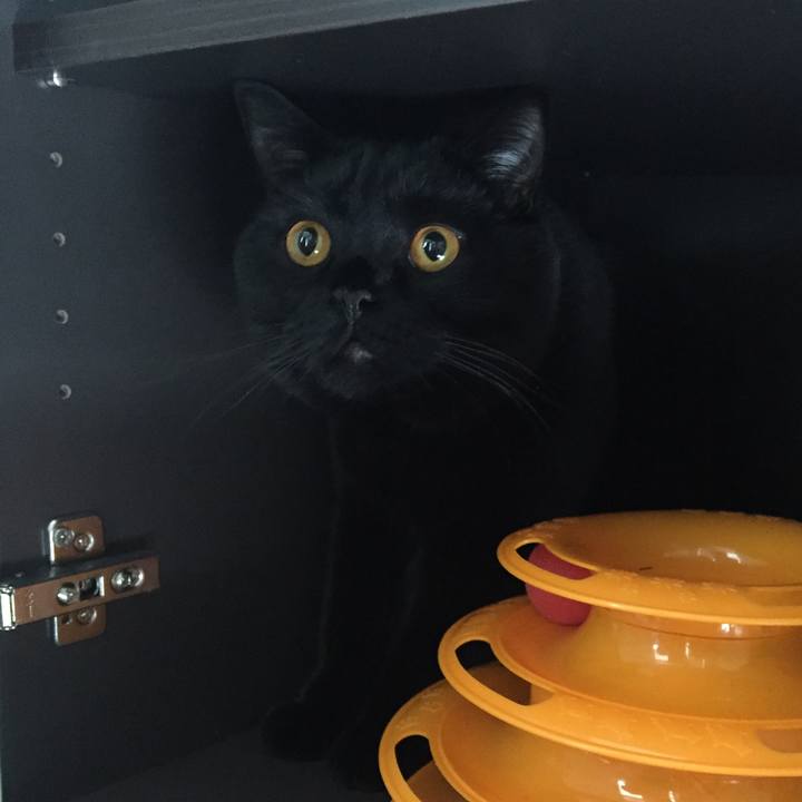 D6c84906 79e8 41b5 a7c8 3fb1edc2389c