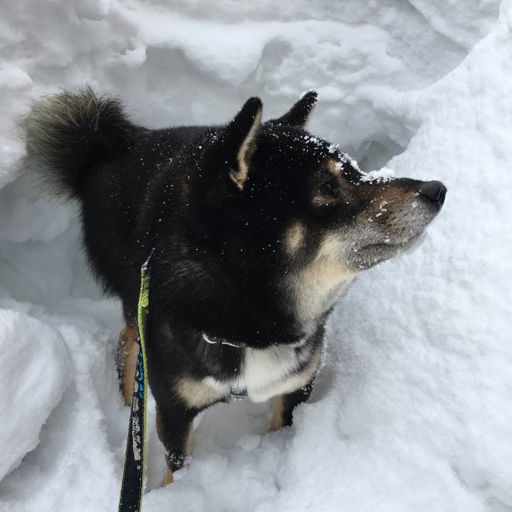 D6c8bfc3 53e2 4efc a10b 2e7a00f1c37e