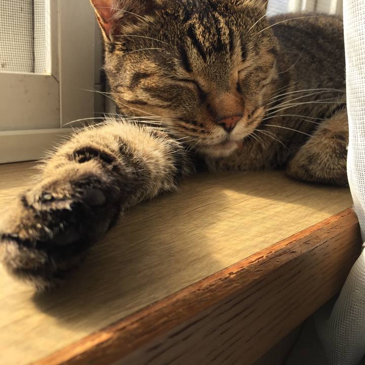 D6c952f0 77d7 4b7f b3c1 717f897c876f