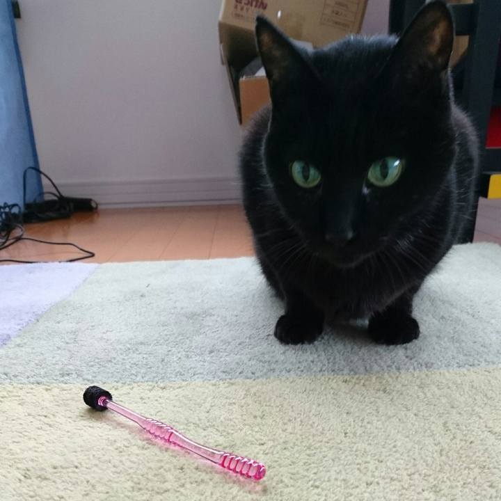 D6c97cf5 a1a6 4617 aed1 886b5c909011