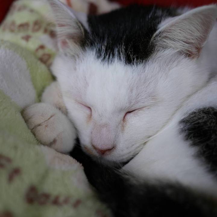 D6c9ceb2 f55b 47d9 992f e58e0de82cab