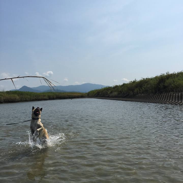 D6ca3098 802c 4d3f 98b6 85aeb638c92a