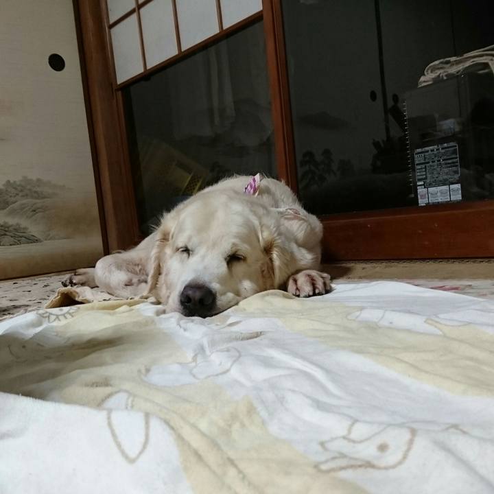 D6cad02e 0f82 4d98 9f77 d0f93c3a15d8