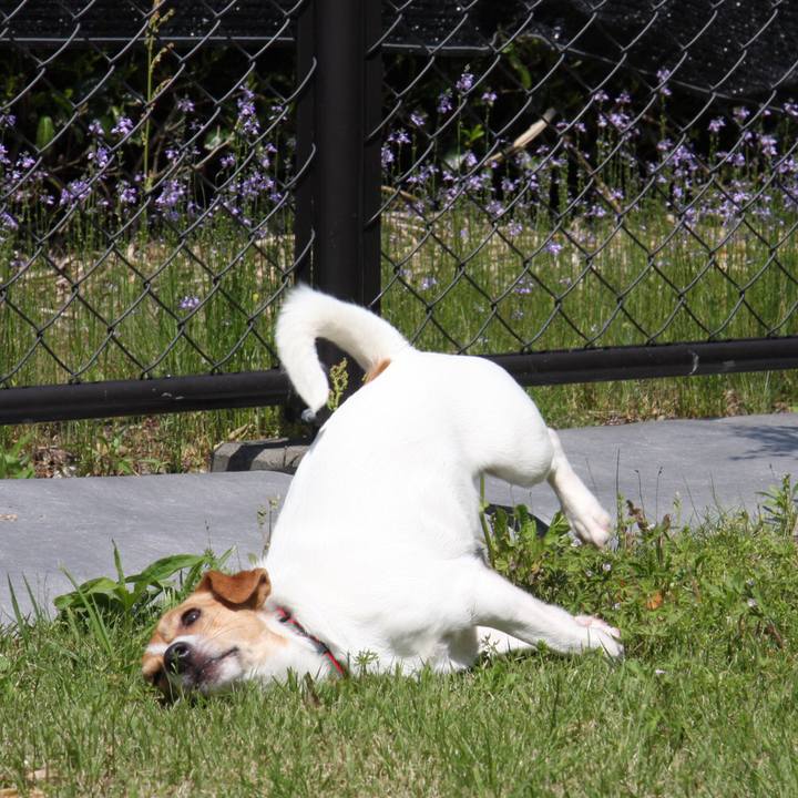 D6cb27ec 9687 4971 a6d1 5fa46ba84e8e