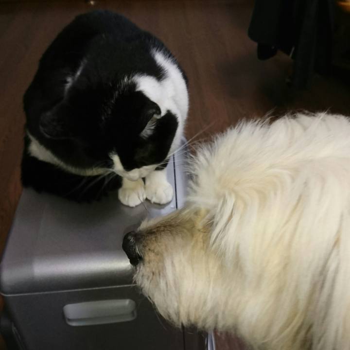 D6cb5b7e c44e 4ecc 8bd6 436a833ab182