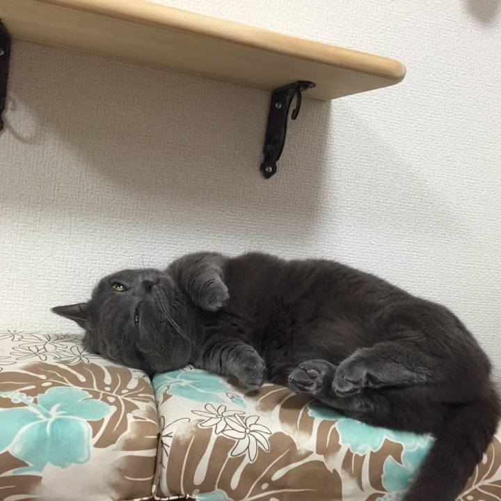 D6cb9172 8a49 4cea 82f3 d3cfc27367b3