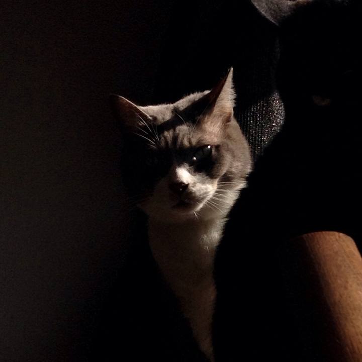 D6cbf334 ee3a 4d0b aace b3b4545c1337