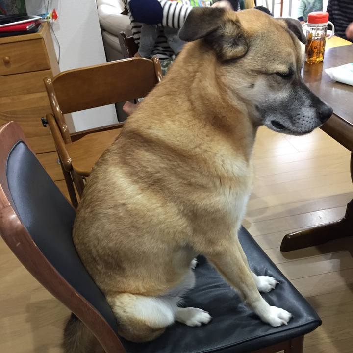 D6cbff9b 8d4a 40f4 b365 91d7a31f8955