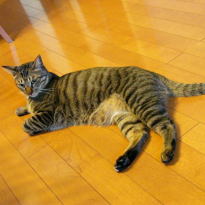 D6cc816b 1e2b 4bb5 8245 6b405fd77643