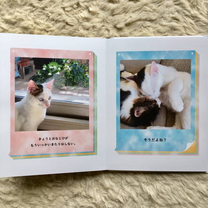 D6cc9bf3 6984 40fb ae86 f2fcea3099e2