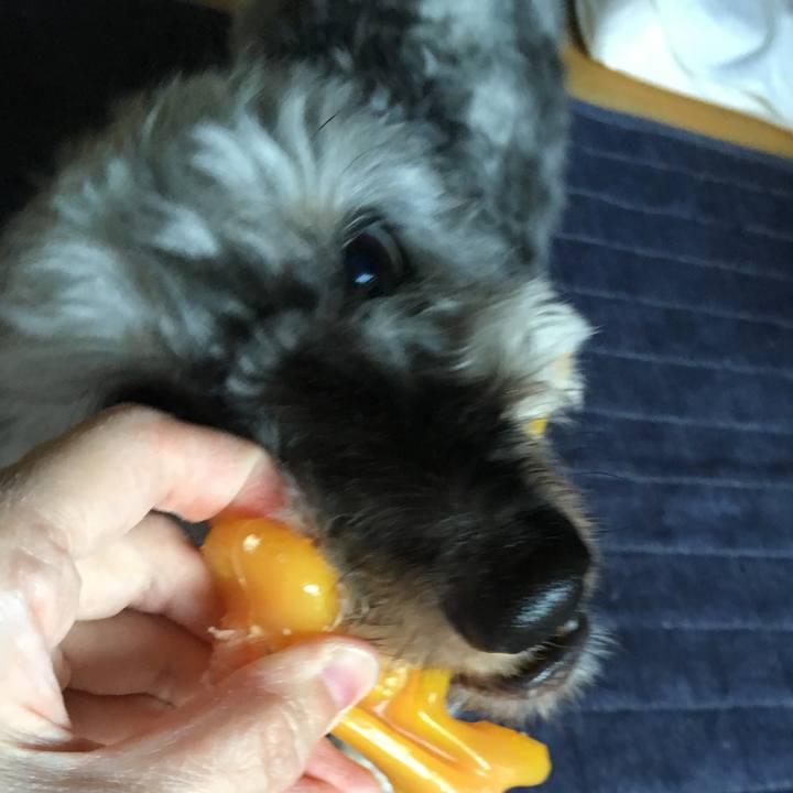 D6cce86e 2754 410b 9d42 265337f82f19