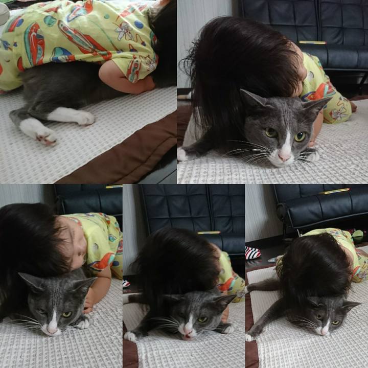 D6cd519b c5c0 41b4 8b2c 4d5bdada313a